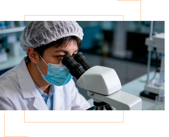 XSAM InSAR Technology Visualization